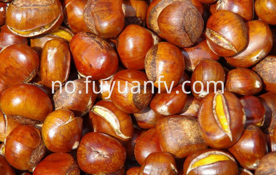 Fresh Chestnut 4